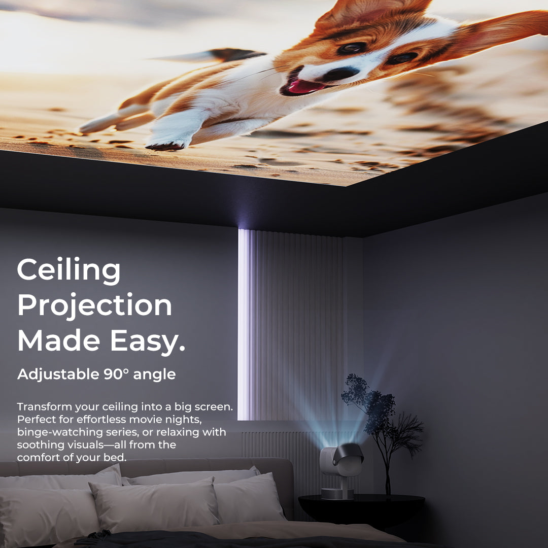 Lenyes LPR01 Projector