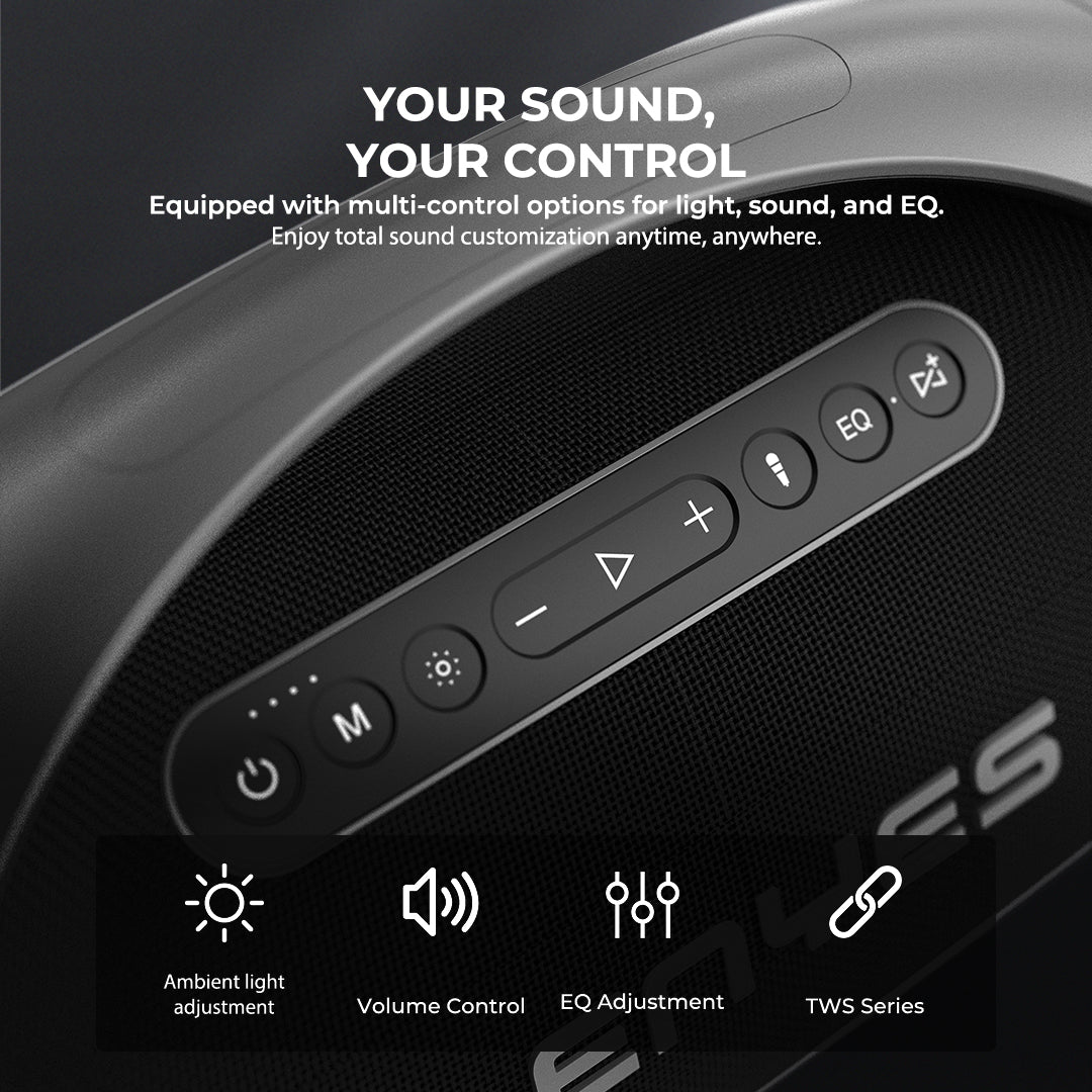LENYES S873 400W Portable Party Speaker