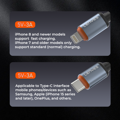 Lenyes LC528 Type-C to Type-C 60W Cable