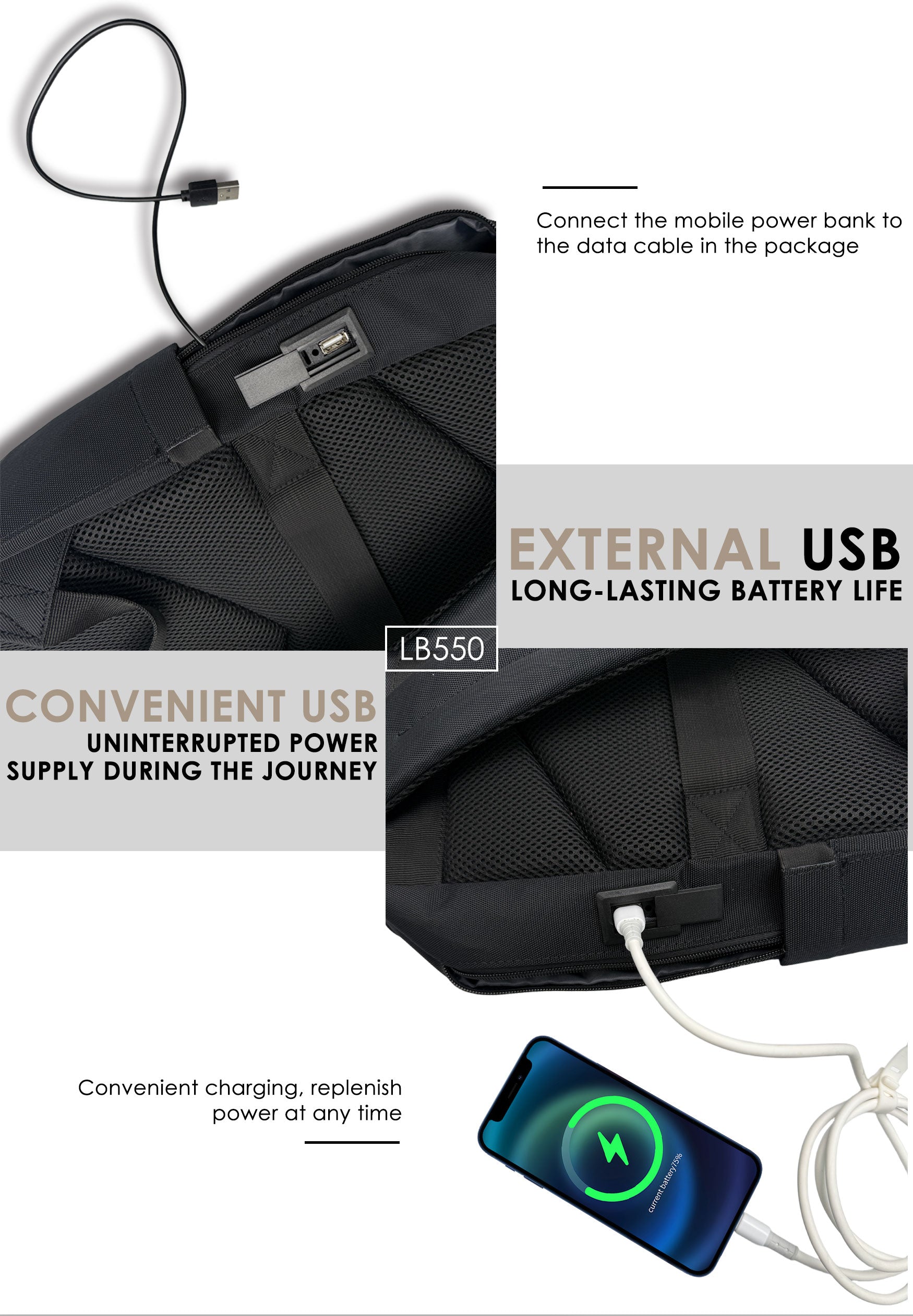 Lenyes LB550 Travel Backpack