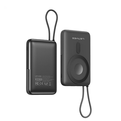 Lenyes PW173D 10000 mAh Power Bank