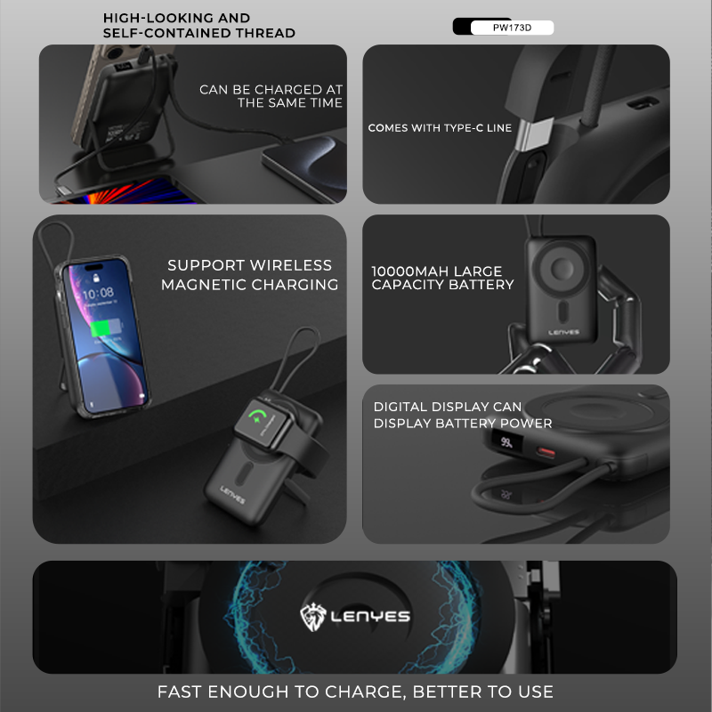 Lenyes PW173D 10000 mAh Power Bank