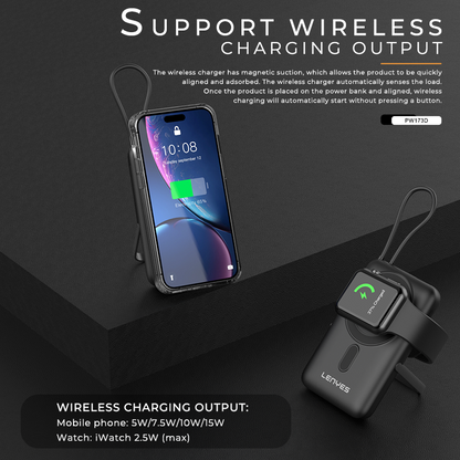 Lenyes PW173D 10000 mAh Power Bank