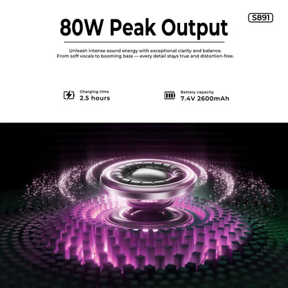 Lenyes S891 40 Watt Portable Speaker